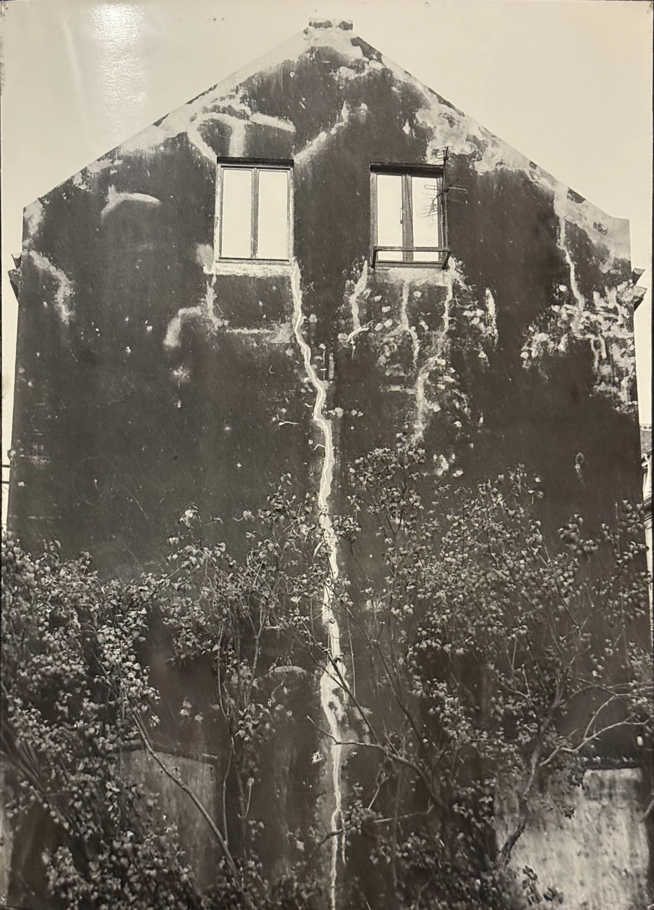 Zwei helle Fenster unterbrechen eine dunkle Giebelwand. Unebenheiten, ein heller Streifen und Pflanzen gliedern die verwitterte Fläche.